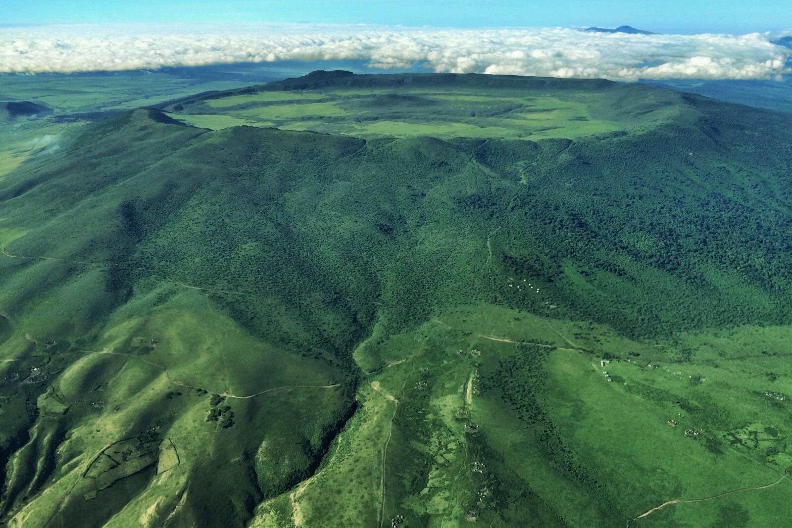 Serengeti