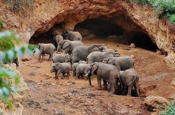 Elephant Caves Mining Site
