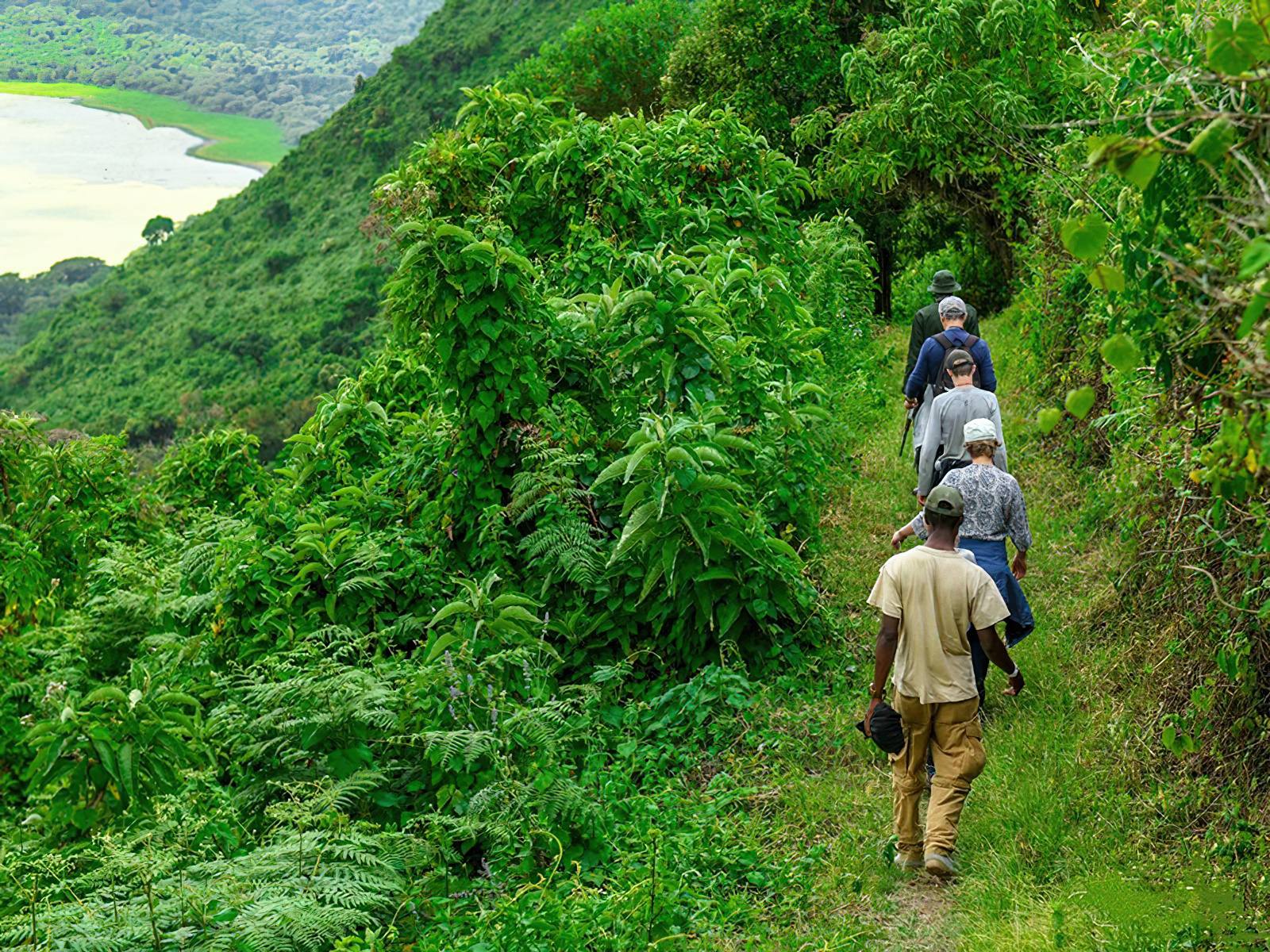 Highland Trekking Path