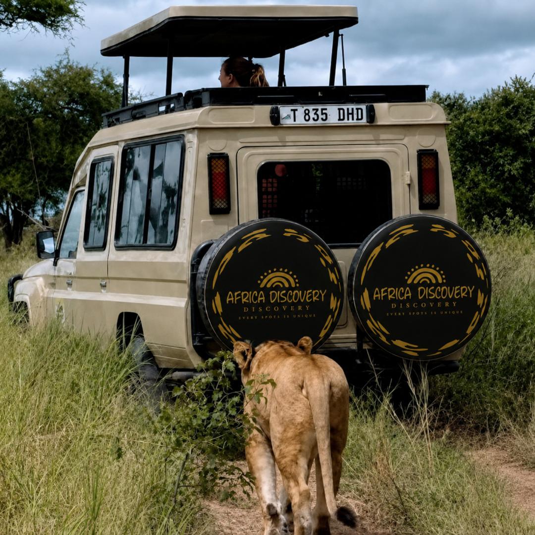 Lions