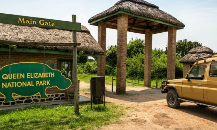Arrival and transfer to Queen Elizabeth National Park
