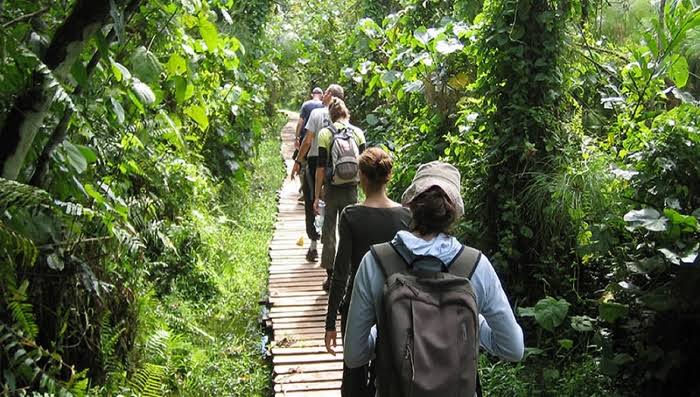 Arrival and transfer to Kibale Forest