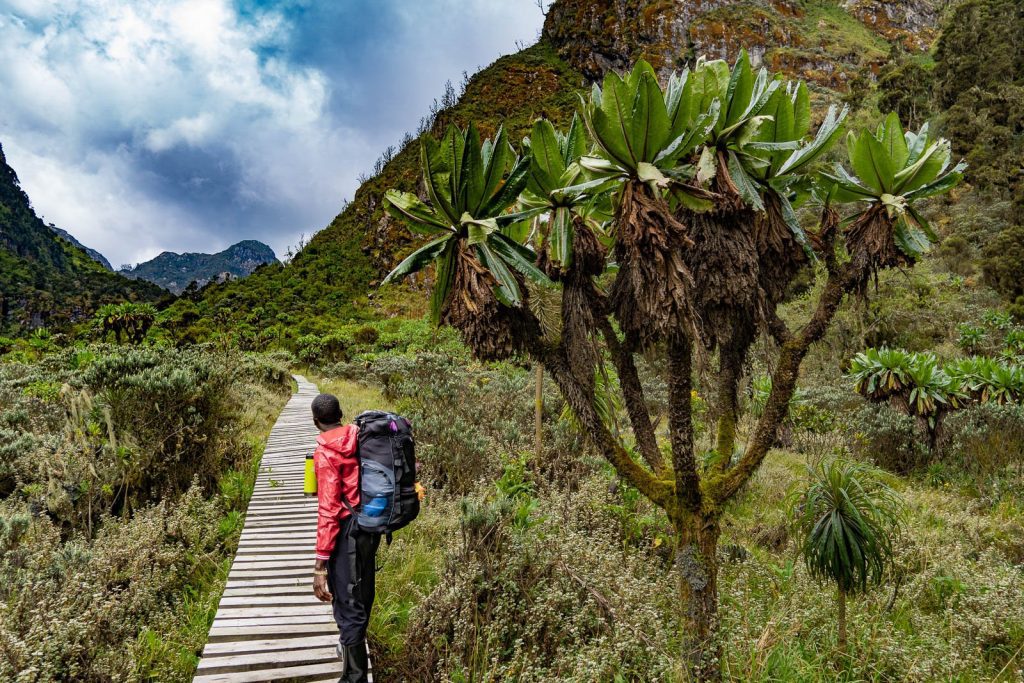 Rwenzori Foothills Trek Phase